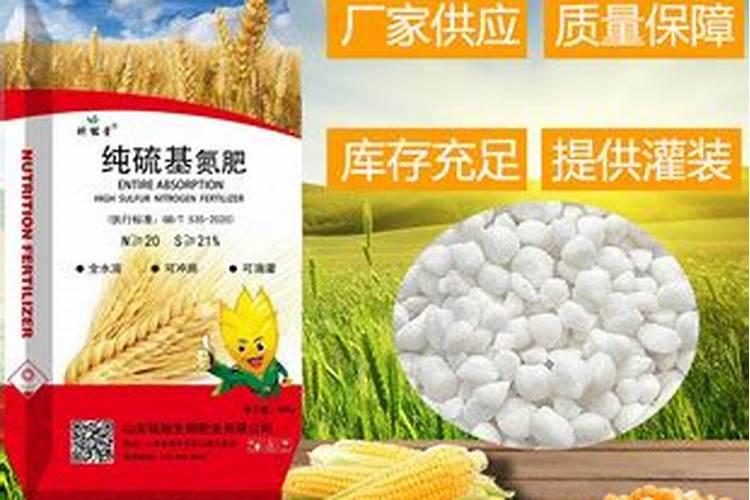 马蹄种植方法要点有哪些