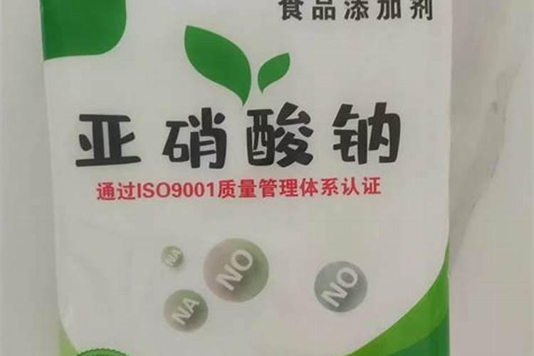四季春花怎么养