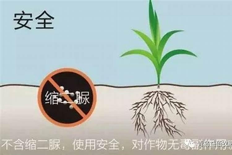 缩二脲的好处是什么