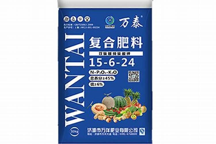 红枣怎么种 红枣的种植方法