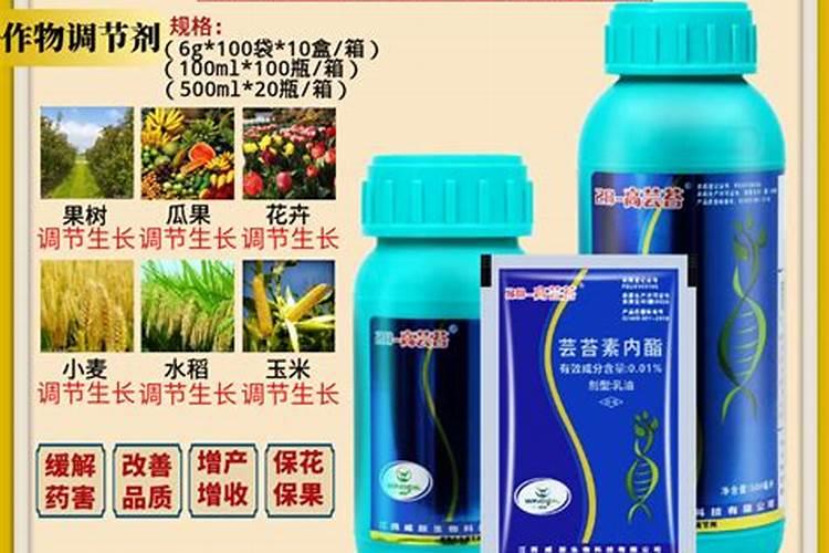 芸苔素能促进生根吗