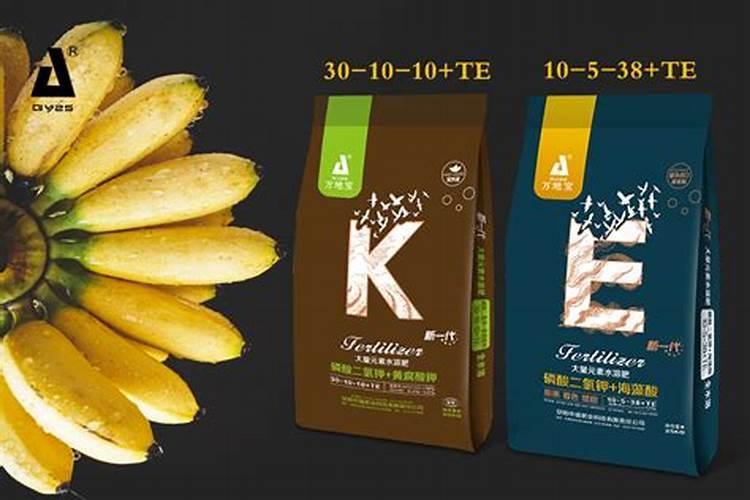 香蕉迟抽蕾怎么办 管理要点简介