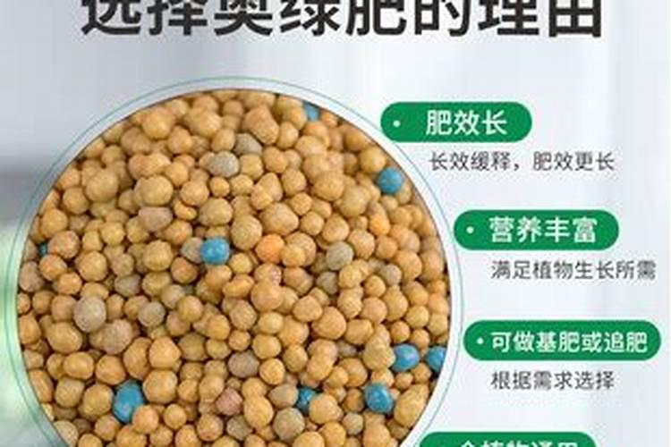 五六月份是否适合栽植花椒