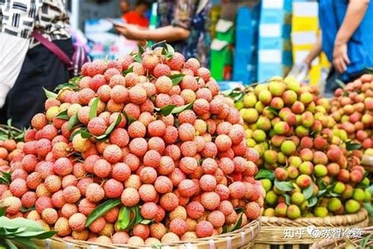 种荔枝霜冻后的补救措施,都有哪些呢？