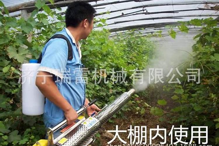 一亩水稻施用多少磷肥