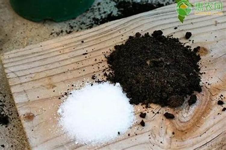 最方便的磷钾肥制作方法