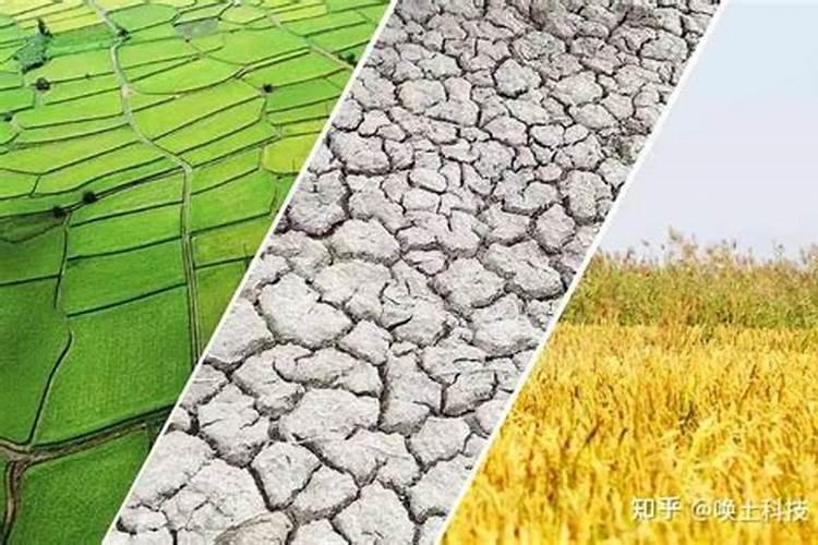 什么肥料可以治盐碱地 治盐碱地主要用什么方法