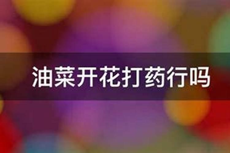 种植油菜为什么要施硼肥 油菜啥时候施硼肥好
