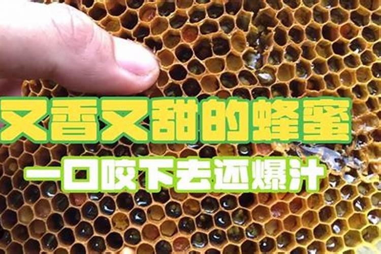 盆栽空根怎样快生根 盆栽空根快生根的方法
