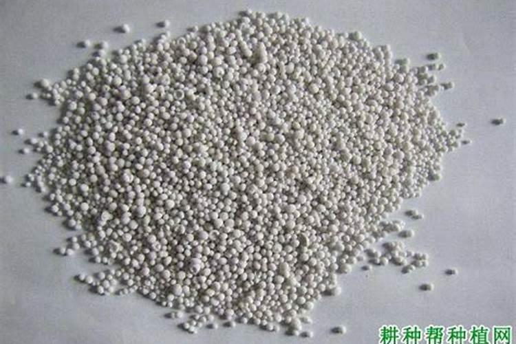 辣椒移栽后几天施肥