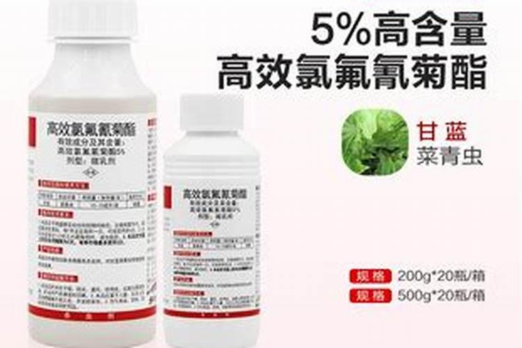 我想问下2018年冬季什么蔬菜好卖