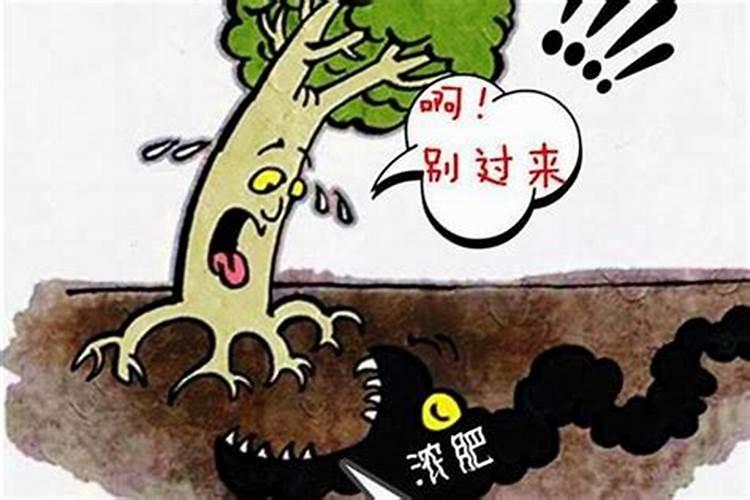 黄瓜追肥用什么肥料好