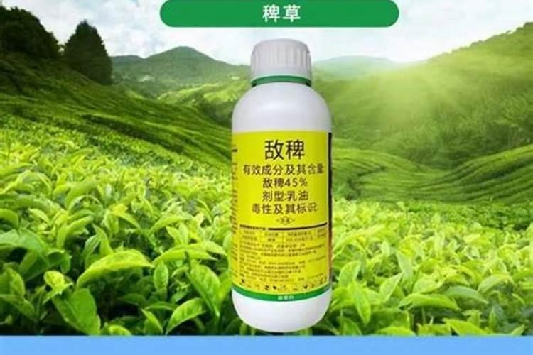 在干旱的情况下,花生喷施叶面肥有效吗？