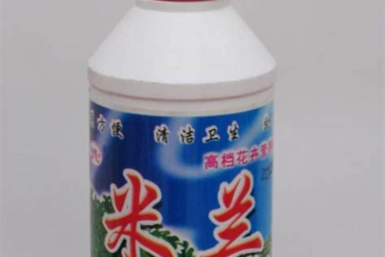 榕树可以用白糖浇水吗？