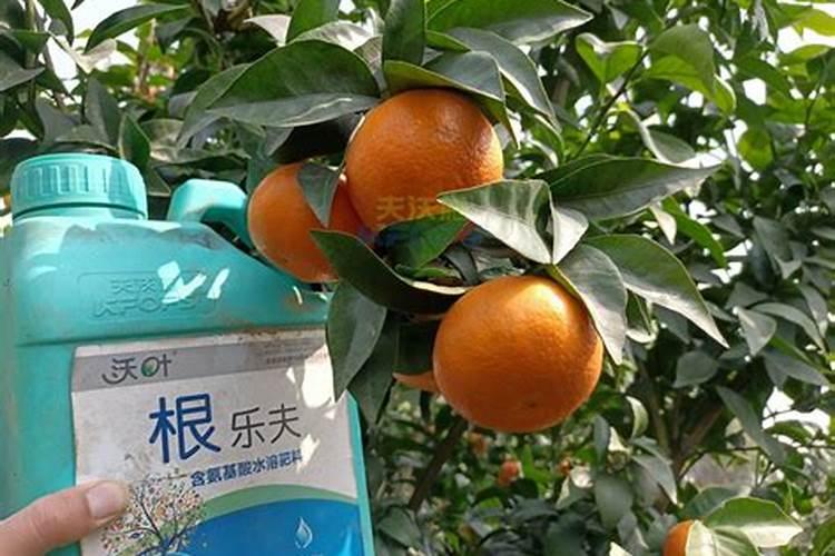 烟草复合肥的氮磷钾比例是多少？ 四川宜宾当地烤烟移栽的基肥有哪些...