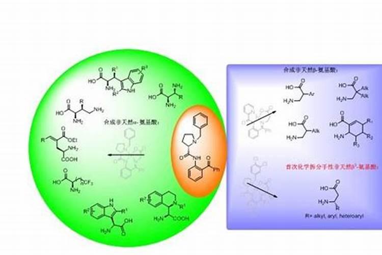 氨基酸叶面肥果树涂杆枝术怎么操作？