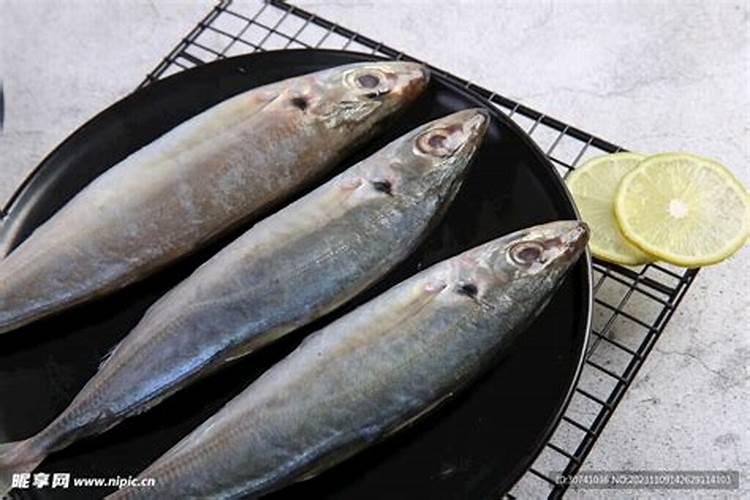 用自制的鱼蛋白浇果树要稀释多少