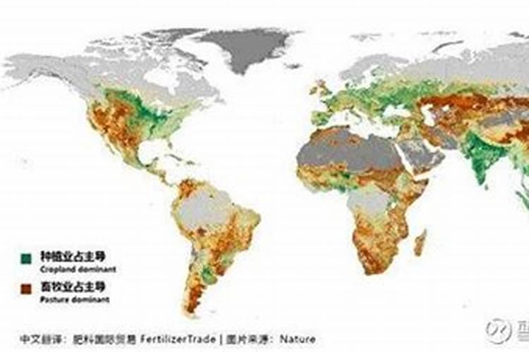 武威金仓生物科技有限公司怎么样？