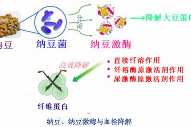 求纳豆菌怎么制作