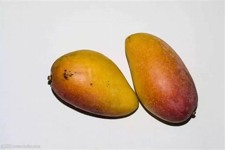 种芒果应该怎样去施肥？