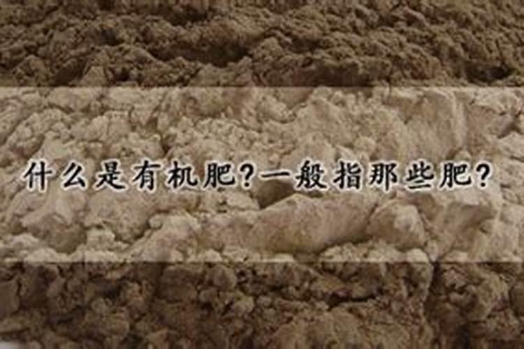 君子兰可以用磷酸二氢钾吗