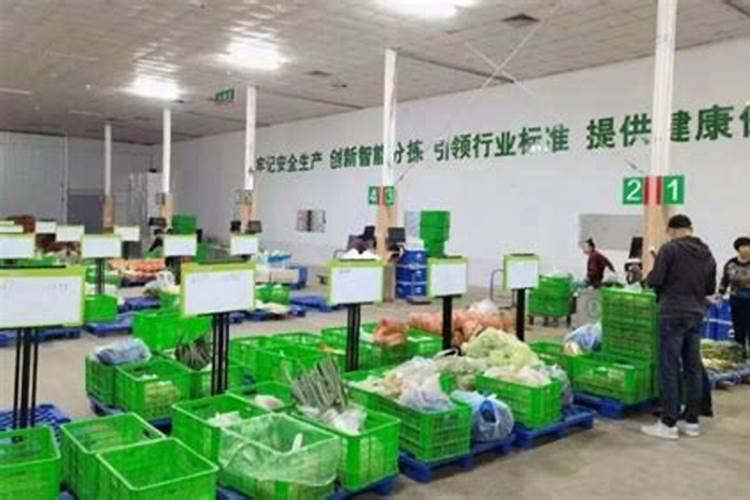 大豆相关股票,大豆相关上市公司有哪些