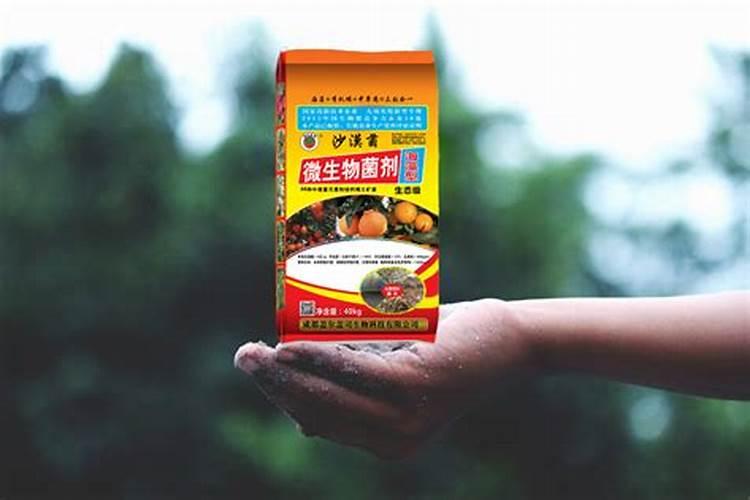 葡萄月子肥应该如何使用