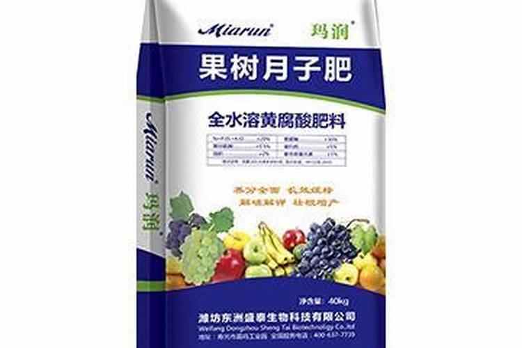 种柑橘需要施月子肥吗？很多人认为没有这个必要？