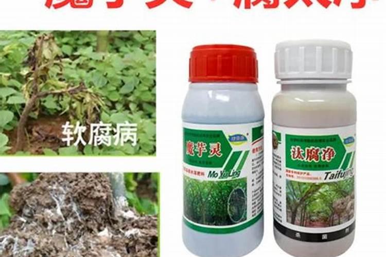 硼肥叶面喷施用量