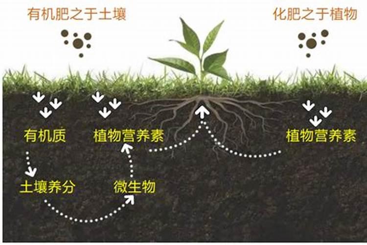 EC值是什么意思？