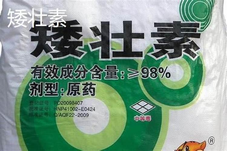 请问老师生育期长的高粱品种如何来促早熟？