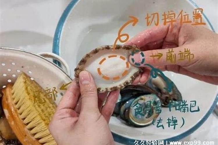 如何彻底清除鱼缸里的蛋白虫