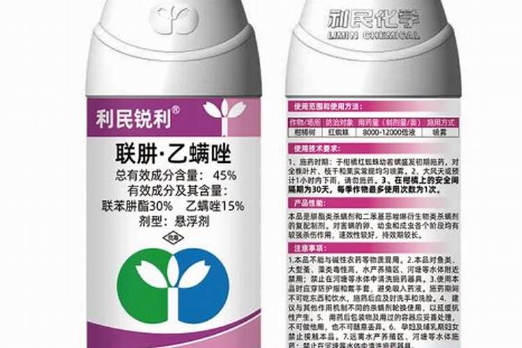 多肉可以水培吗