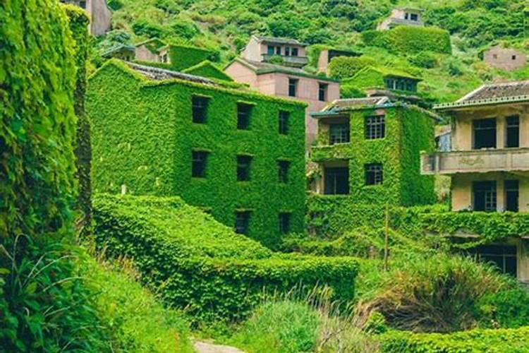 红小豆能喷叶面肥吗能用黄豆的叶面肥吗？