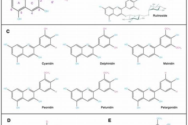 让你的第一道皱纹晚出现5年？天然+科技少不了!