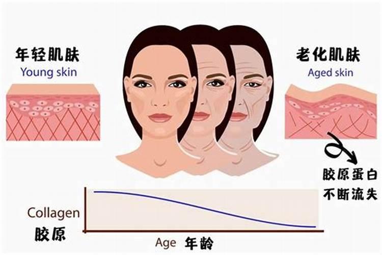自然界抗氧化能力最强的物质是什么