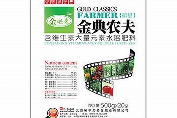 花盆养花如何施肥
