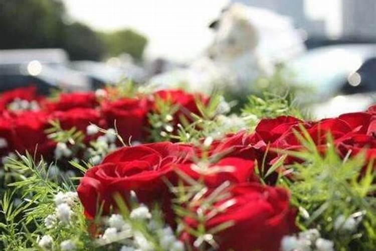 无花果不发芽怎么办 无花果不发芽的解决方法