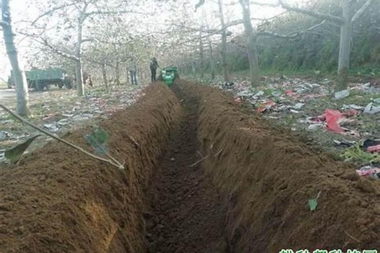 磷肥能提前撒地里吗？