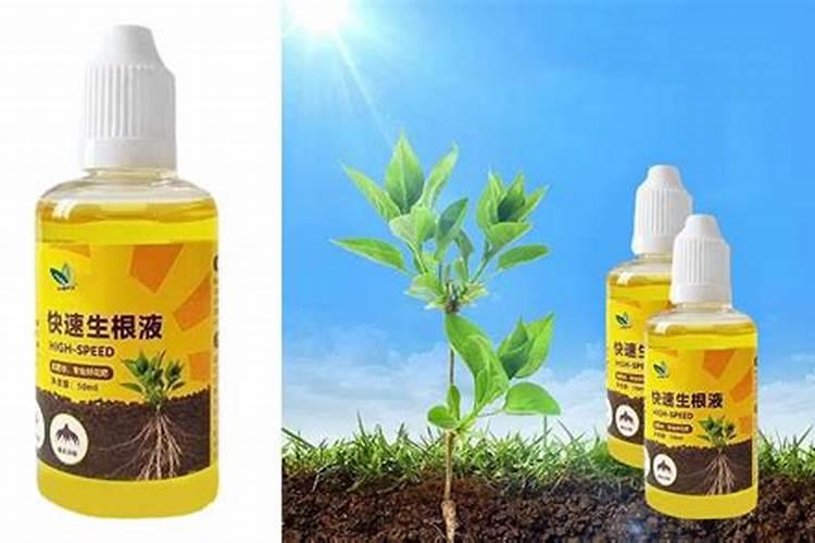 植物生长平衡液是什么东西