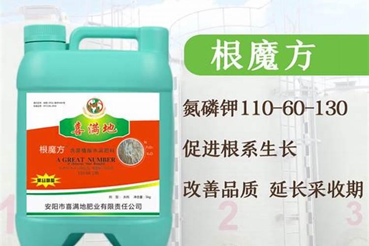 甘薯的施肥技术有哪些