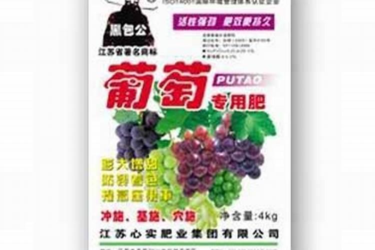 种植一亩地葡萄要多少钱？