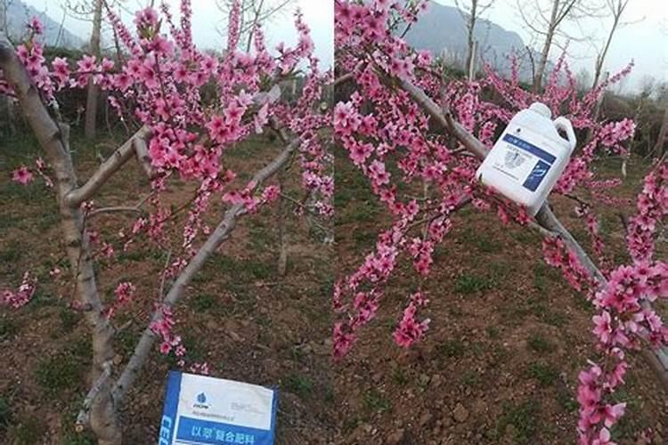 水溶肥的正确使用方法和用量
