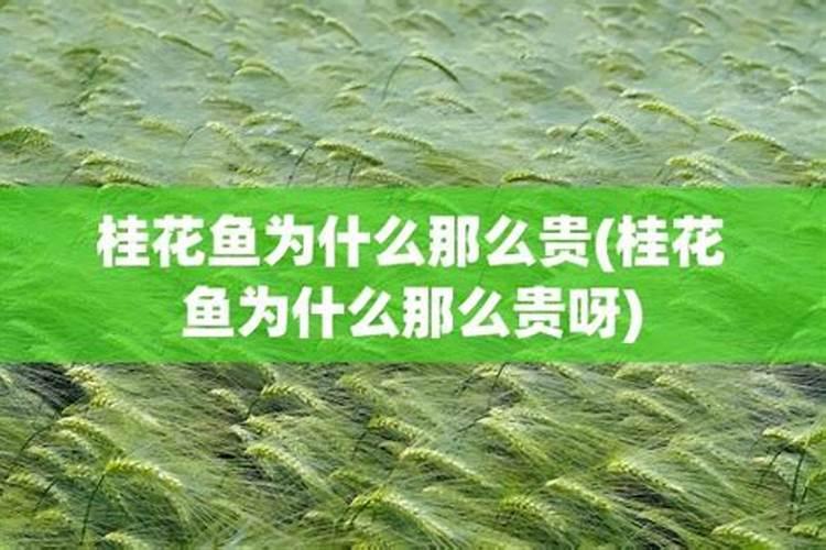 西红柿病毒病用什么特效药