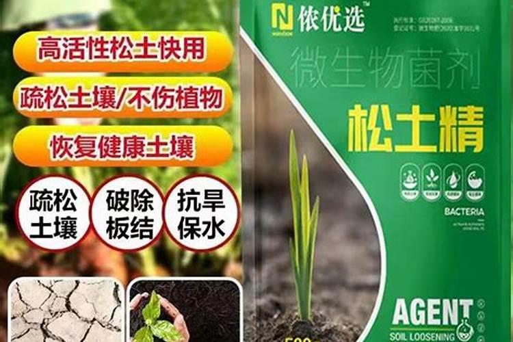 什么水溶肥好