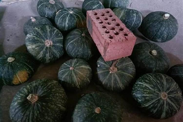 种植水稻最忌讳什么肥