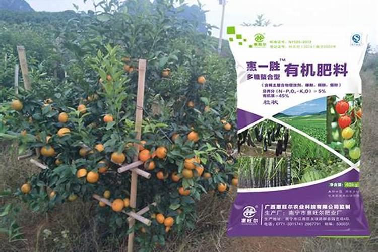 沃柑来年挂果树的施肥方案介绍下可以吗？
