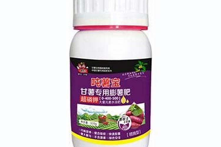 种植红薯在红薯的膨大期,对肥料使用都有哪些要求？