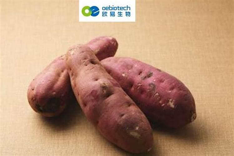 红薯施尿素肥好不好红薯用尿素好不好？
