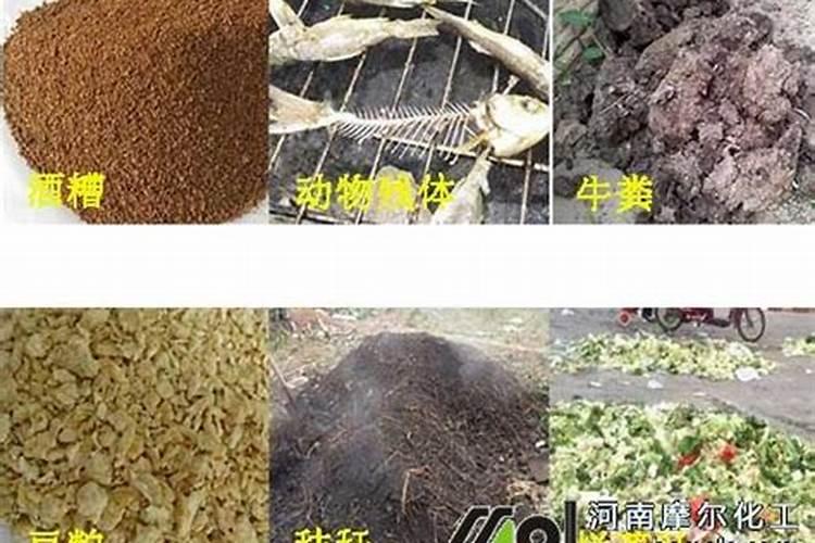 有机肥是什么肥料